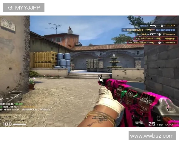 专访赵芳：解密CS_GO成功之道