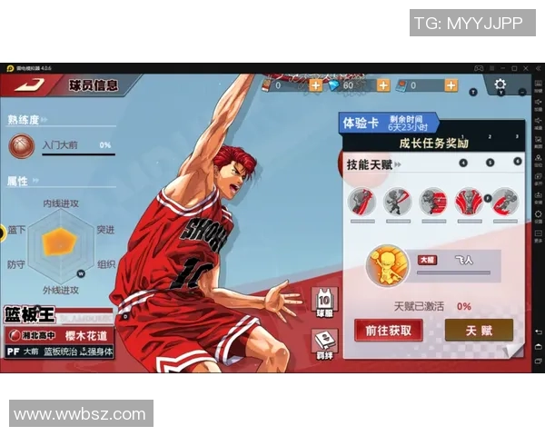 篮球新手攻略：个人能力入门指南